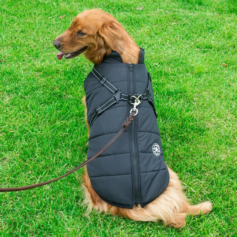 🐶 2-in-1 Dog Harness & Winter Coat – Sporty Look