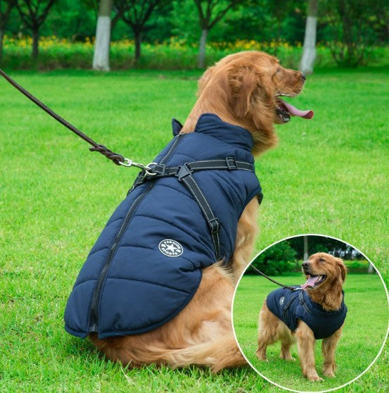 🐶 2-in-1 Dog Harness & Winter Coat – Sporty Look