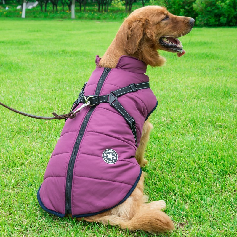 🐶 2-in-1 Dog Harness & Winter Coat – Sporty Look