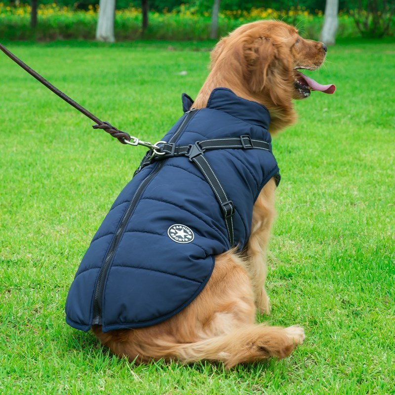 🐶 2-in-1 Dog Harness & Winter Coat – Sporty Look