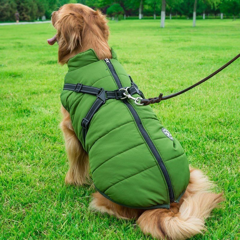 🐶 2-in-1 Dog Harness & Winter Coat – Sporty Look