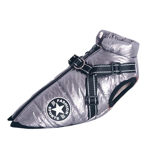 🐶 2-in-1 Dog Harness & Winter Coat – Sporty Look