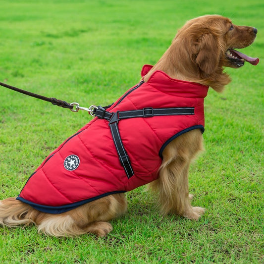 🐶 2-in-1 Dog Harness & Winter Coat – Sporty Look