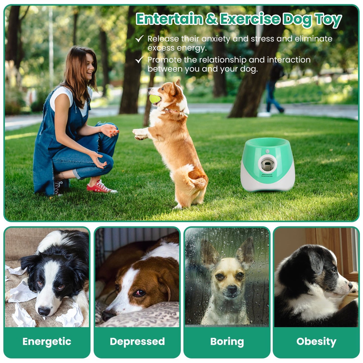 Automatic Dog Ball Launcher